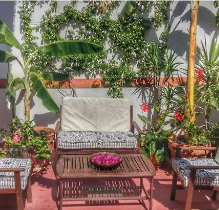 Apartment Luxury Duplex With Terrace *